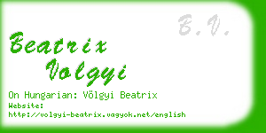 beatrix volgyi business card